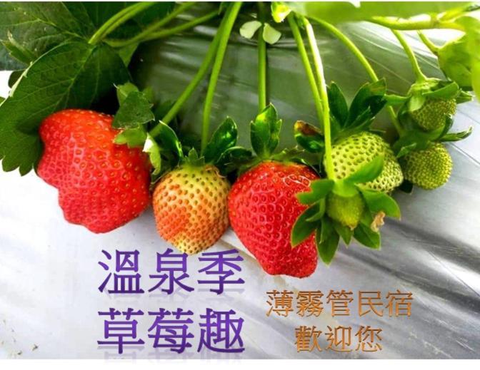 Miaoli Sanyi Bo Wu Guan Homestay Luaran gambar