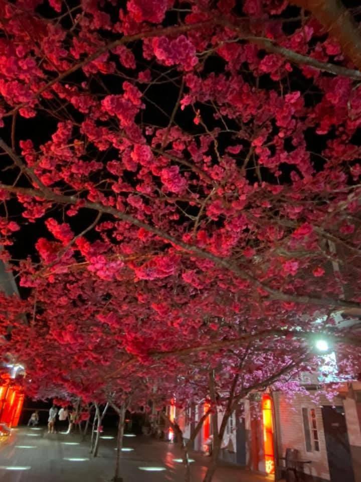 Miaoli Sanyi Bo Wu Guan Homestay Luaran gambar