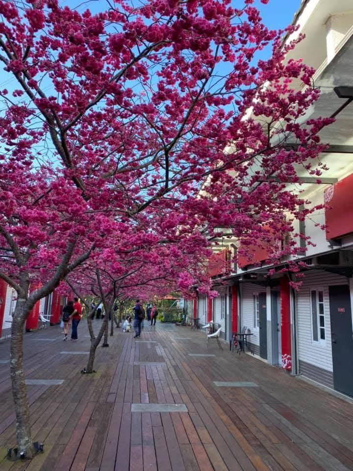 Miaoli Sanyi Bo Wu Guan Homestay Luaran gambar